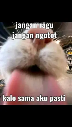 NGEN**D