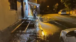 Bedava şablon 