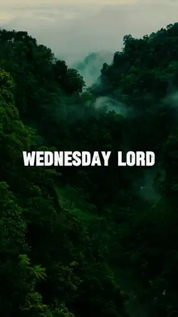 Today is Wednesday 