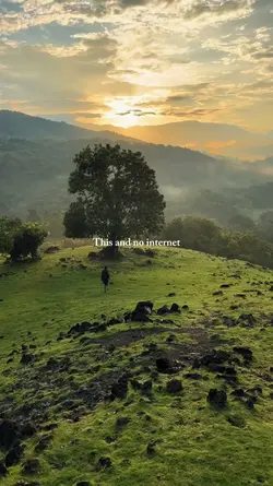 this and no internet