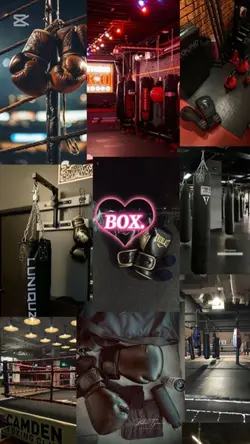 BOX 
