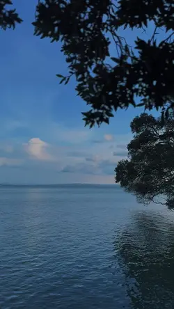 Nature therapy ๐