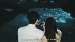 Aesthetic