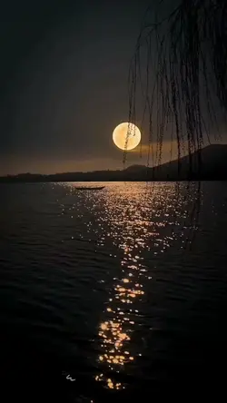 mentahan video 