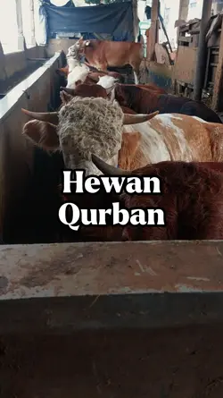 Hewan Qurban
