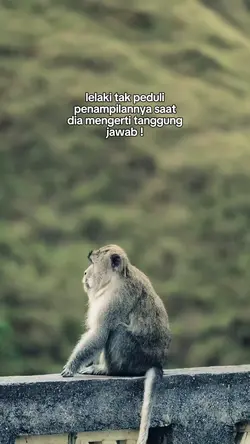 lelaki tak peduli