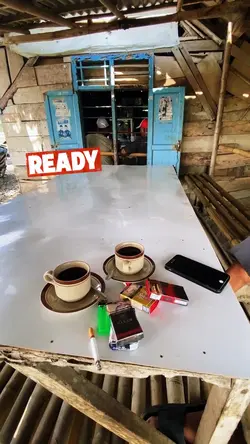 ready1
