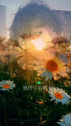 シングルベット