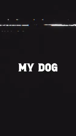 My dog slowmotion 