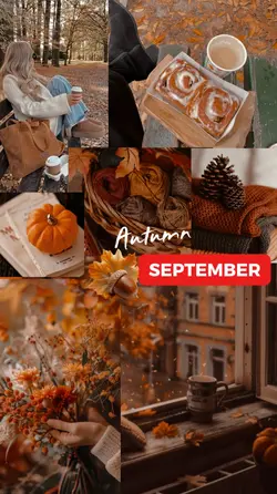 Autumn Vibes