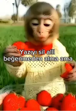 Maymuun