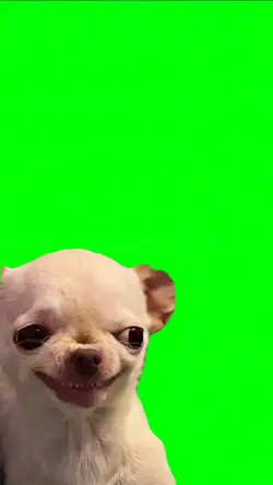 Devious dog
