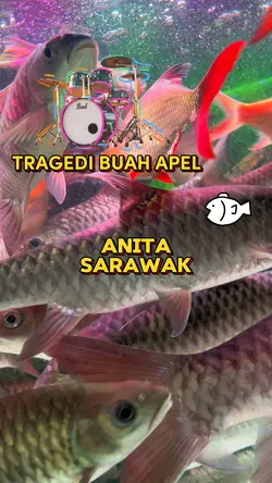 Anita sarawak
