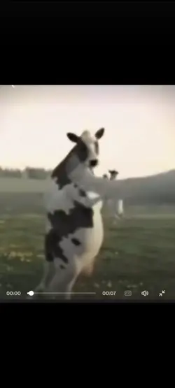 ale banger