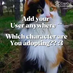 Collab >:3