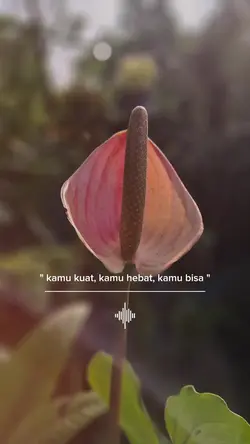 status hari ini