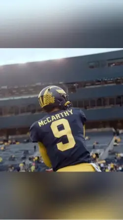 Go Michigan