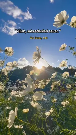 Ali İmran/146 