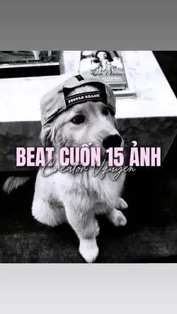 BEAT 15 ẢNH