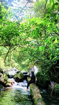 Curug Vibes