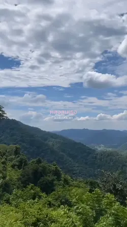 สนิทใจ | PALMY