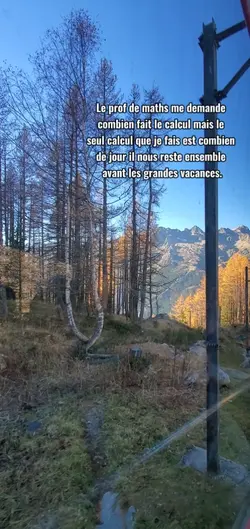 plus beaucoup...