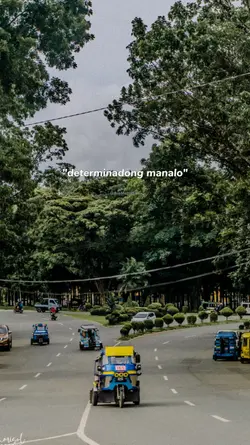 Determinadong manalo