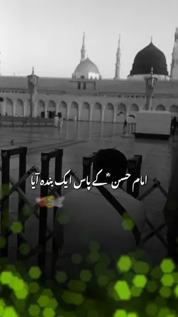 مولا حسن  ؑ کا حلم