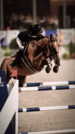 horse edit