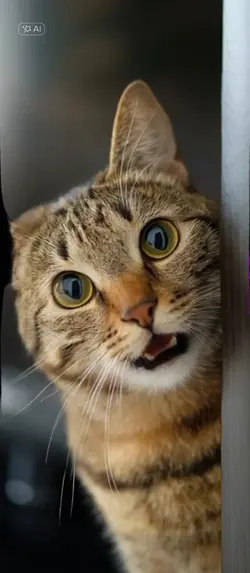 あーはんあはん