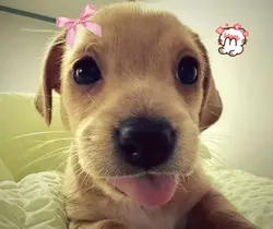 cute