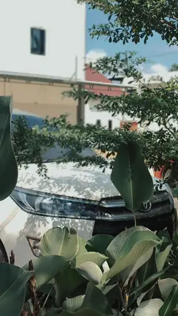 DIANTARA KAU DANA