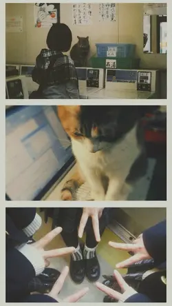 frame aesthetic