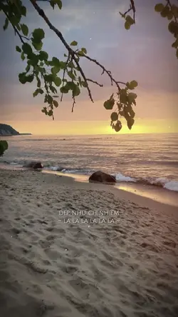 MẪU 2ẢNH