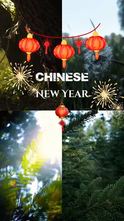 chinese new year