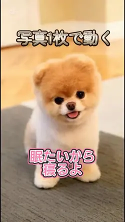眠たいよ〜