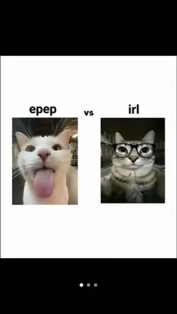 epep vs irl 