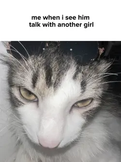 me when i see him