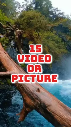 15 video or picture 