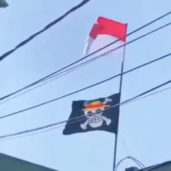 bendera one peace