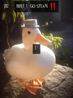 duck edit !!! :3