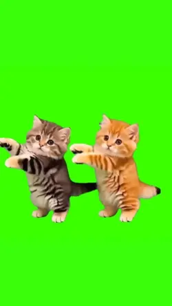 Dance Kittens