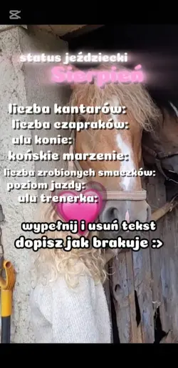 wypełnij