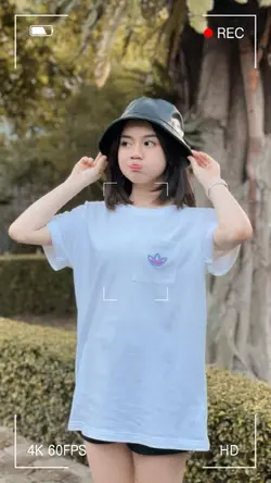 Transisi poto