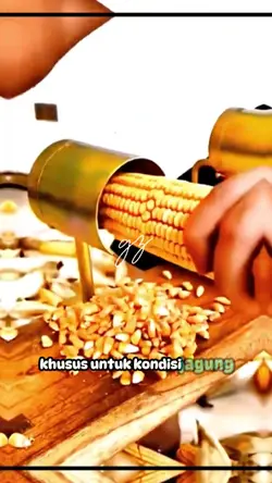 alat pemipil jagung 