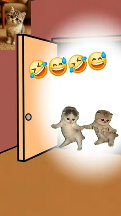 cat dance 4