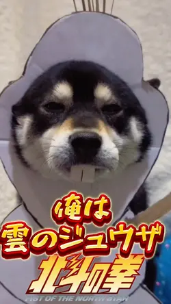 北斗の拳パロディおもしろペット動画