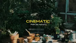 Cinematic vlog