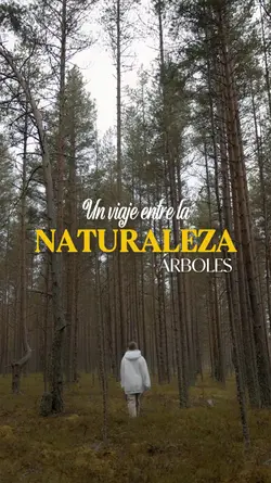 NATURALEZA 