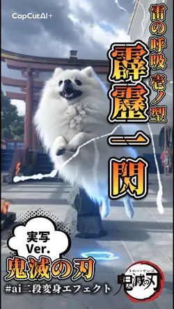 霹靂一閃 × ペットちゃん